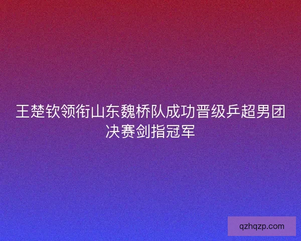 王楚钦领衔山东魏桥队成功晋级乒超男团决赛剑指冠军