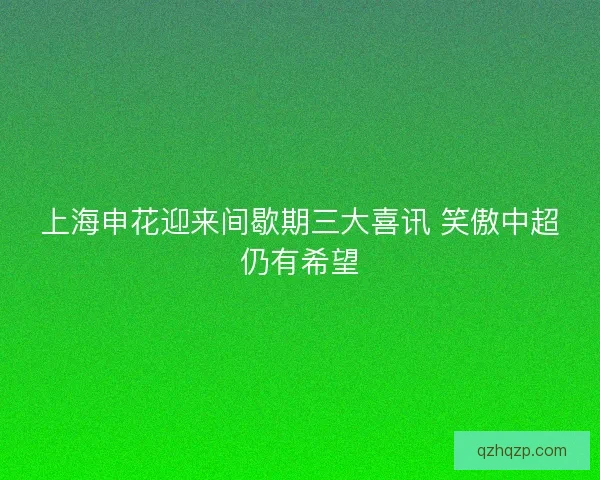 上海申花迎来间歇期三大喜讯 笑傲中超仍有希望